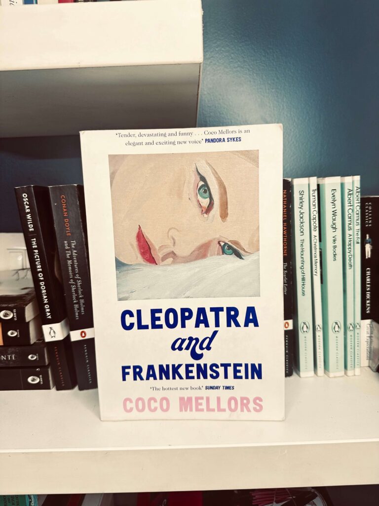 cleopatra and frankenstein, coco mellors, bookbeantrail, books to read in 20s